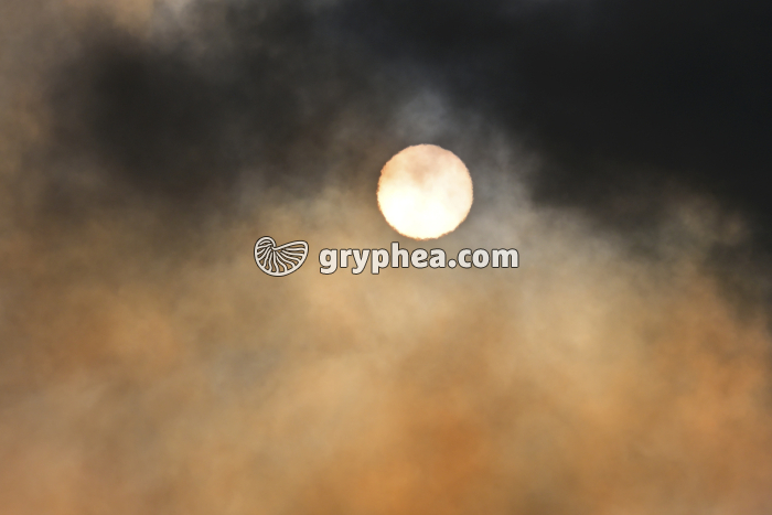 Vapeurs et gaz volcaniques émis par un volcan - Geldingadalir - Islande 2021 - gryphea.com